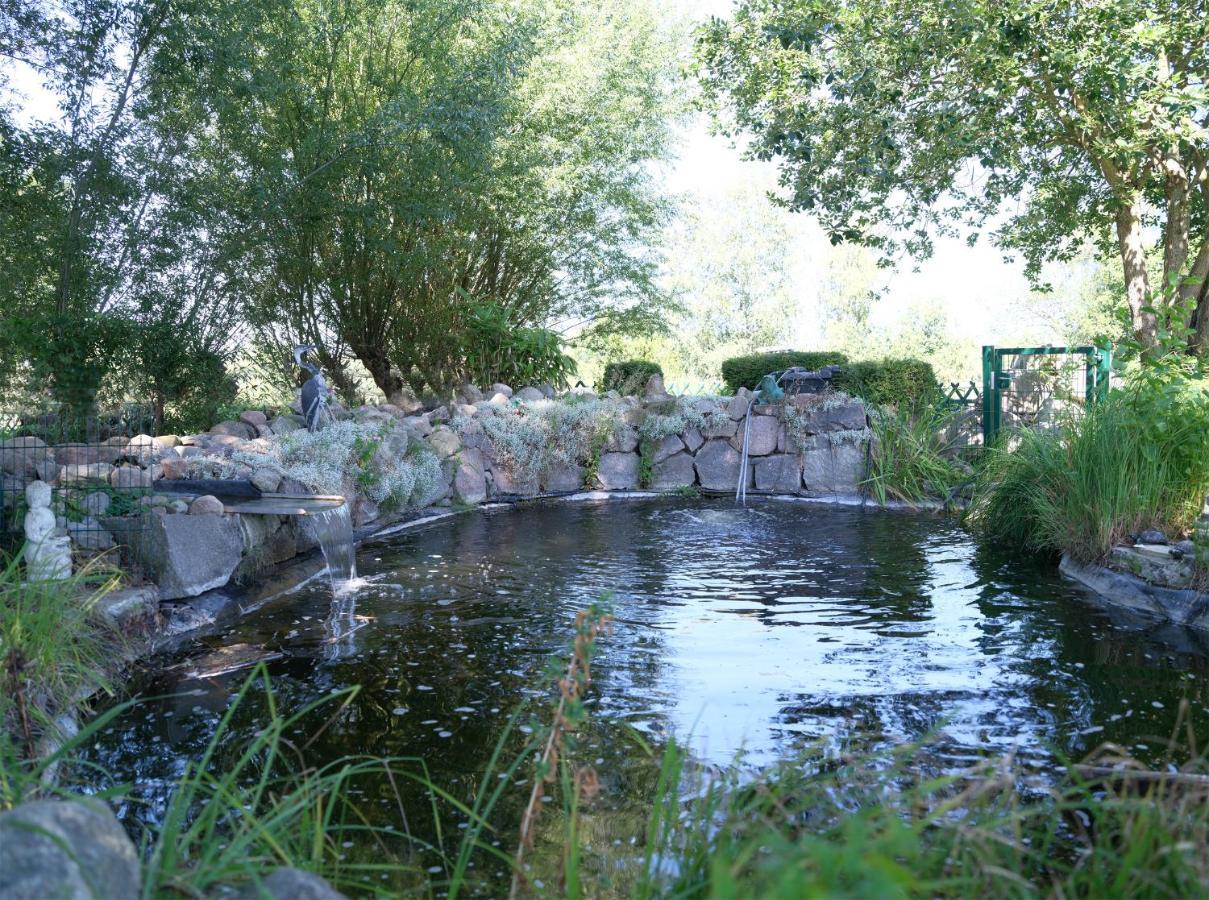 Ferienhaus Fuer 8 Personen Mit Kamin & Terrasse Boltenhagen  Ngoại thất bức ảnh